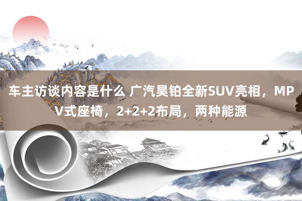 车主访谈内容是什么 广汽昊铂全新SUV亮相，MPV式座椅，2+2+2布局，两种能源