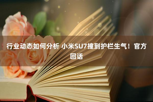 行业动态如何分析 小米SU7撞到护栏生气！官方回话