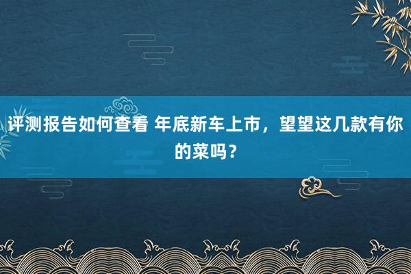 评测报告如何查看 年底新车上市，望望这几款有你的菜吗？