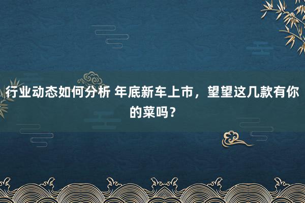 行业动态如何分析 年底新车上市，望望这几款有你的菜吗？