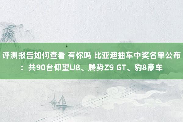 评测报告如何查看 有你吗 比亚迪抽车中奖名单公布：共90台仰望U8、腾势Z9 GT、豹8豪车