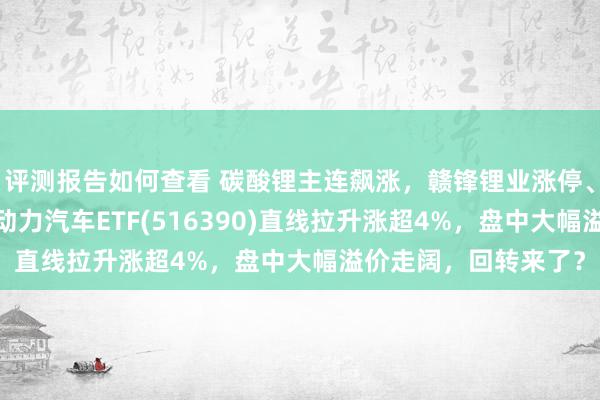 评测报告如何查看 碳酸锂主连飙涨，赣锋锂业涨停、宁德时期涨3%，新动力汽车ETF(516390)直线拉升涨超4%，盘中大幅溢价走阔，回转来了？