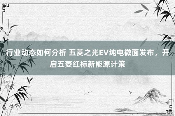 行业动态如何分析 五菱之光EV纯电微面发布，开启五菱红标新能源计策