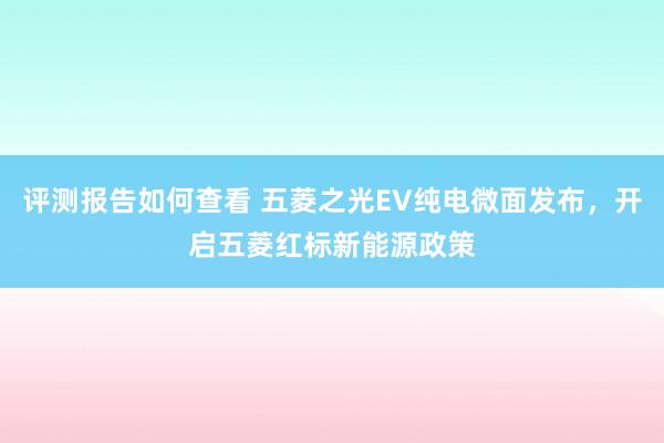 评测报告如何查看 五菱之光EV纯电微面发布，开启五菱红标新能源政策