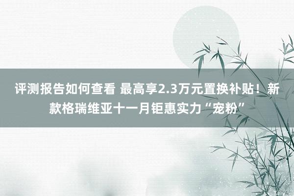 评测报告如何查看 最高享2.3万元置换补贴！新款格瑞维亚十一月钜惠实力“宠粉”