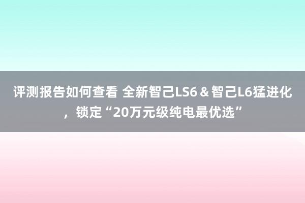 评测报告如何查看 全新智己LS6＆智己L6猛进化，锁定“20万元级纯电最优选”