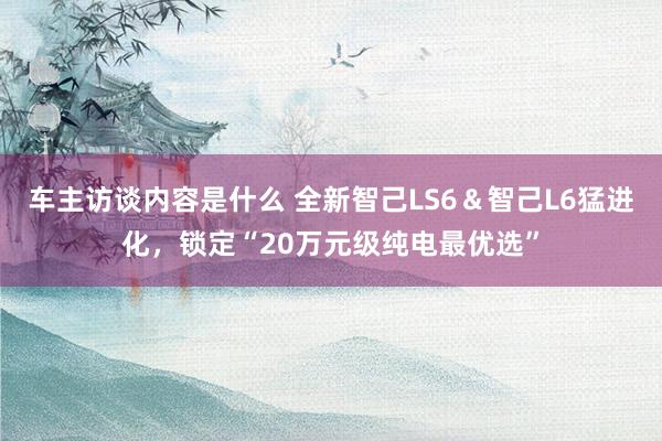 车主访谈内容是什么 全新智己LS6＆智己L6猛进化，锁定“20万元级纯电最优选”