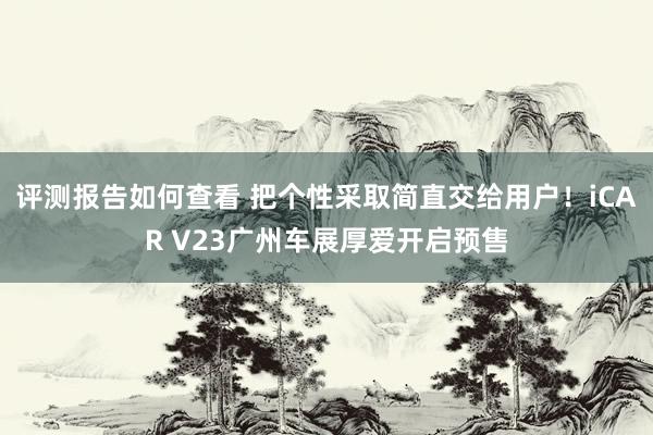 评测报告如何查看 把个性采取简直交给用户！iCAR V23广州车展厚爱开启预售