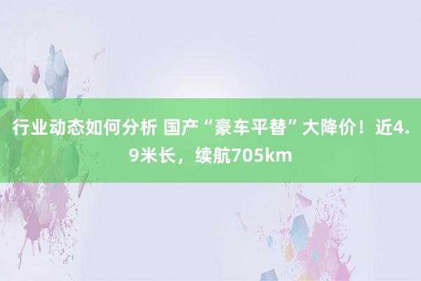 行业动态如何分析 国产“豪车平替”大降价！近4.9米长，续航705km