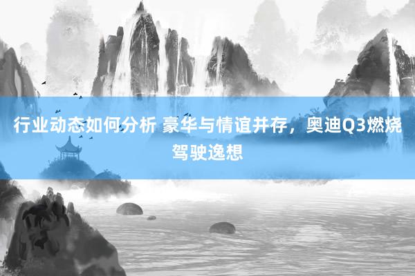 行业动态如何分析 豪华与情谊并存，奥迪Q3燃烧驾驶逸想