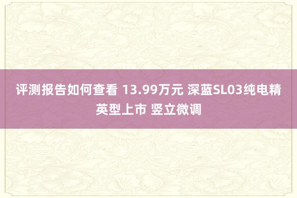 评测报告如何查看 13.99万元 深蓝SL03纯电精英型上市 竖立微调