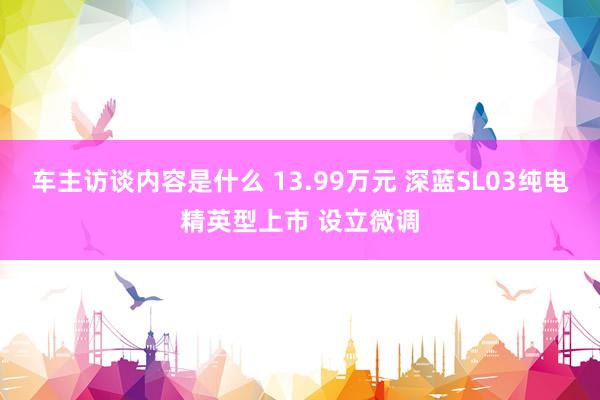 车主访谈内容是什么 13.99万元 深蓝SL03纯电精英型上市 设立微调