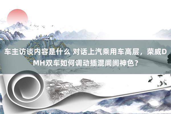 车主访谈内容是什么 对话上汽乘用车高层，荣威DMH双车如何调动插混阛阓神色？