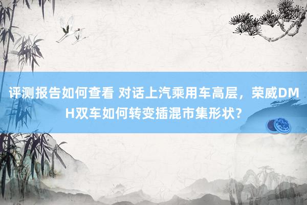 评测报告如何查看 对话上汽乘用车高层，荣威DMH双车如何转变插混市集形状？