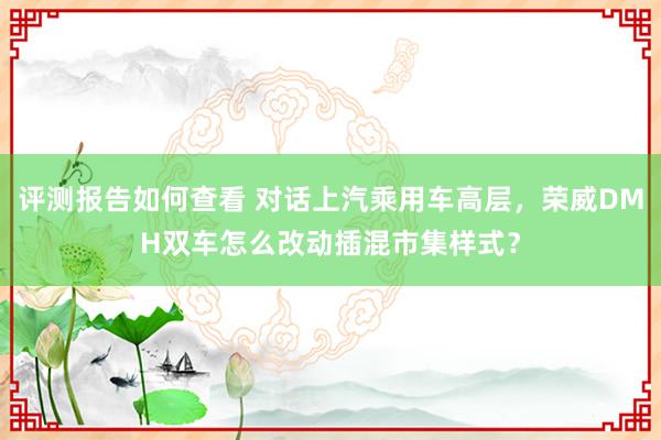 评测报告如何查看 对话上汽乘用车高层，荣威DMH双车怎么改动插混市集样式？