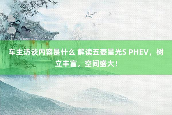 车主访谈内容是什么 解读五菱星光S PHEV，树立丰富，空间盛大！