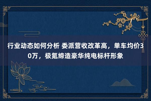 行业动态如何分析 委派营收改革高，单车均价30万，极氪缔造豪华纯电标杆形象