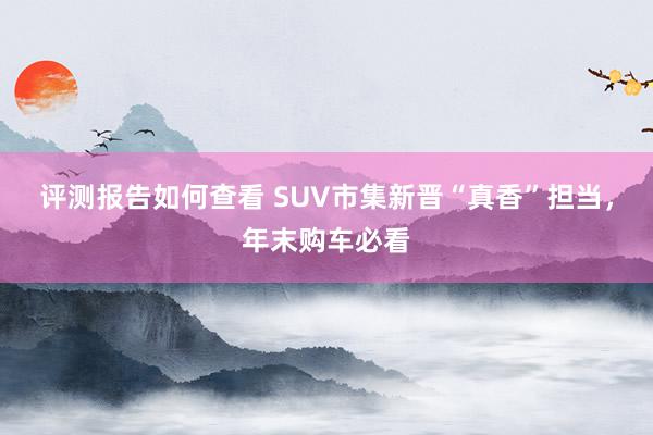 评测报告如何查看 SUV市集新晋“真香”担当，年末购车必看