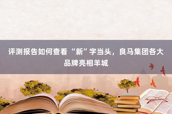 评测报告如何查看 “新”字当头，良马集团各大品牌亮相羊城