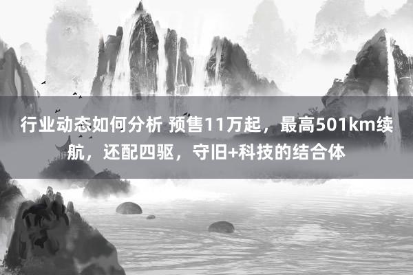 行业动态如何分析 预售11万起，最高501km续航，还配四驱，守旧+科技的结合体