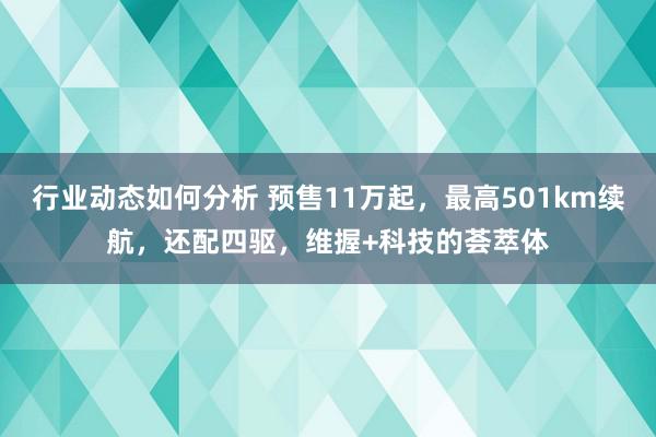 行业动态如何分析 预售11万起，最高501km续航，还配四驱，维握+科技的荟萃体