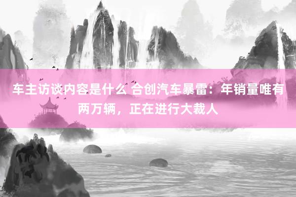 车主访谈内容是什么 合创汽车暴雷：年销量唯有两万辆，正在进行大裁人