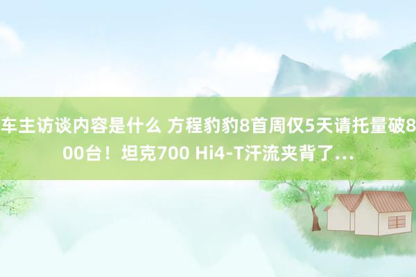 车主访谈内容是什么 方程豹豹8首周仅5天请托量破800台！坦克700 Hi4-T汗流夹背了…