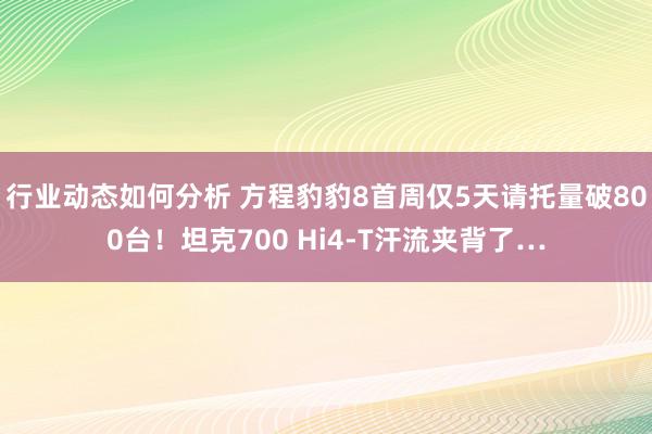 行业动态如何分析 方程豹豹8首周仅5天请托量破800台！坦克700 Hi4-T汗流夹背了…