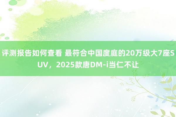 评测报告如何查看 最符合中国度庭的20万级大7座SUV，2025款唐DM-i当仁不让