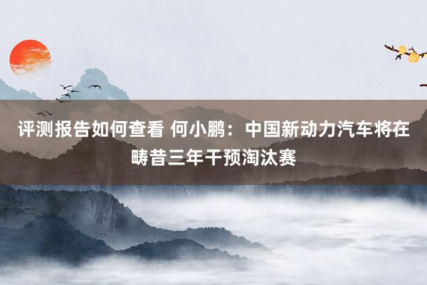 评测报告如何查看 何小鹏：中国新动力汽车将在畴昔三年干预淘汰赛