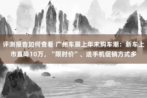 评测报告如何查看 广州车展上年末购车潮：新车上市直降10万，“限时价”、送手机促销方式多