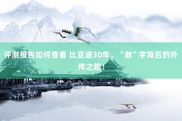 评测报告如何查看 比亚迪30年，“敢”字背后的外传之路！