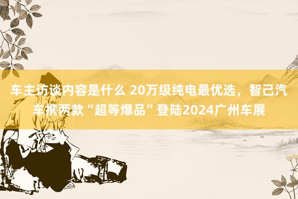 车主访谈内容是什么 20万级纯电最优选，智己汽车携两款“超等爆品”登陆2024广州车展