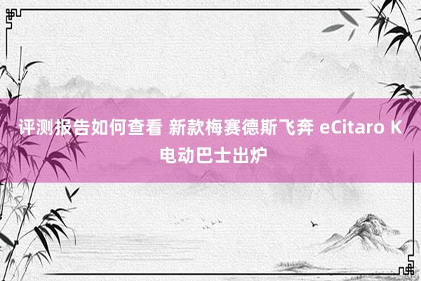 评测报告如何查看 新款梅赛德斯飞奔 eCitaro K 电动巴士出炉