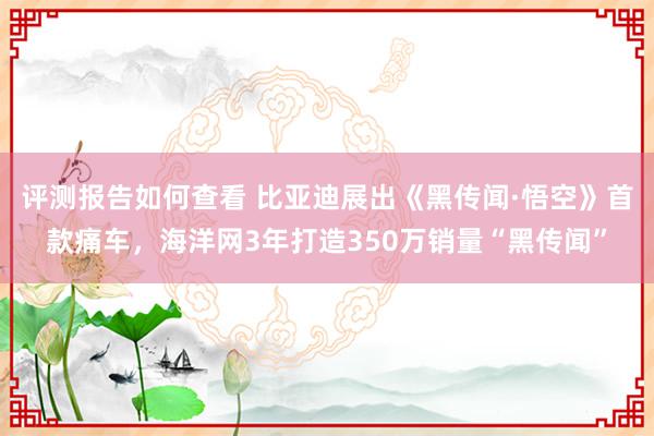 评测报告如何查看 比亚迪展出《黑传闻·悟空》首款痛车，海洋网3年打造350万销量“黑传闻”