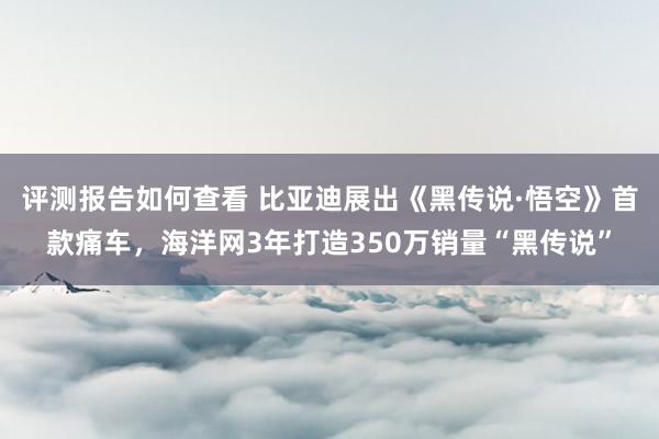 评测报告如何查看 比亚迪展出《黑传说·悟空》首款痛车，海洋网3年打造350万销量“黑传说”