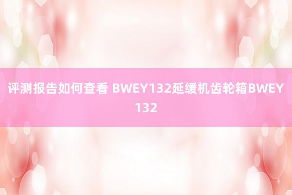 评测报告如何查看 BWEY132延缓机齿轮箱BWEY132