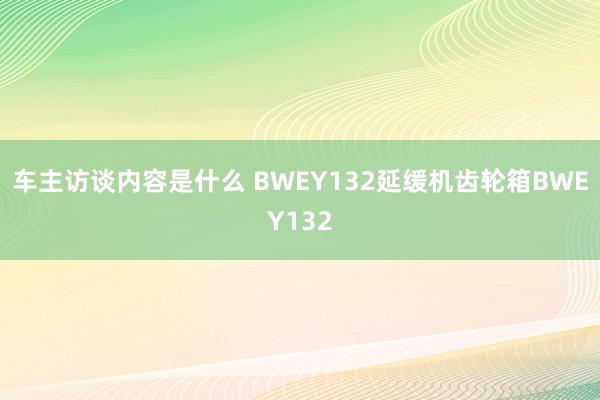 车主访谈内容是什么 BWEY132延缓机齿轮箱BWEY132