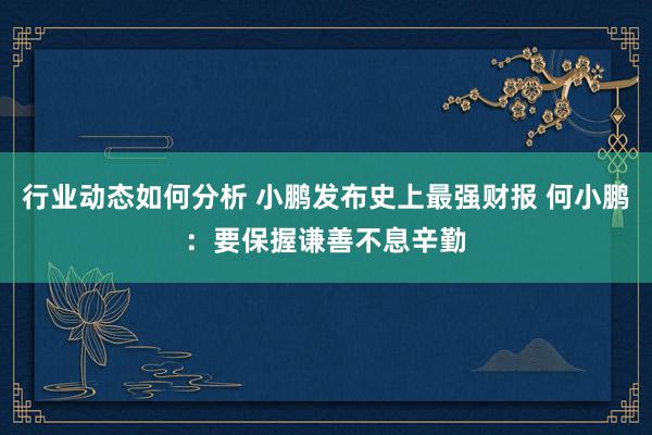 行业动态如何分析 小鹏发布史上最强财报 何小鹏：要保握谦善不息辛勤