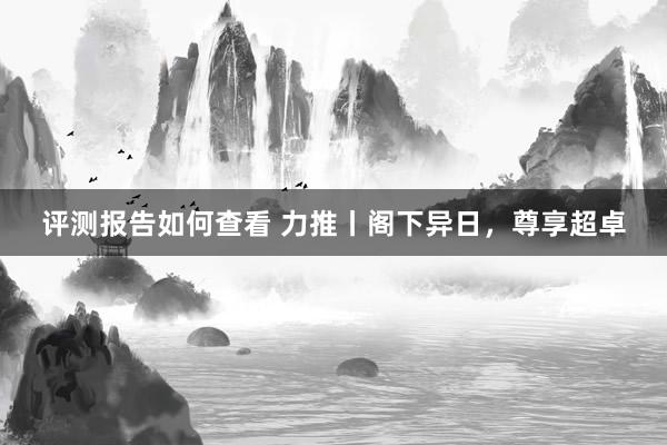 评测报告如何查看 力推丨阁下异日，尊享超卓