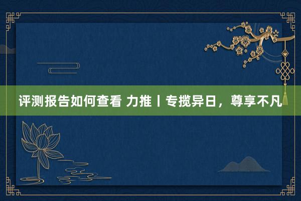 评测报告如何查看 力推丨专揽异日，尊享不凡