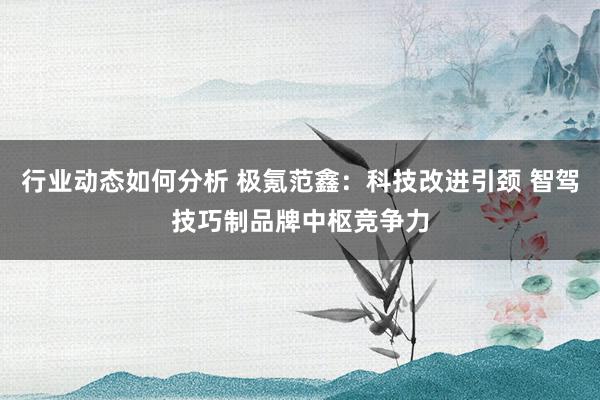 行业动态如何分析 极氪范鑫：科技改进引颈 智驾技巧制品牌中枢竞争力