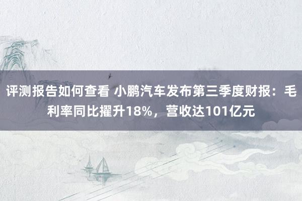 评测报告如何查看 小鹏汽车发布第三季度财报：毛利率同比擢升18%，营收达101亿元