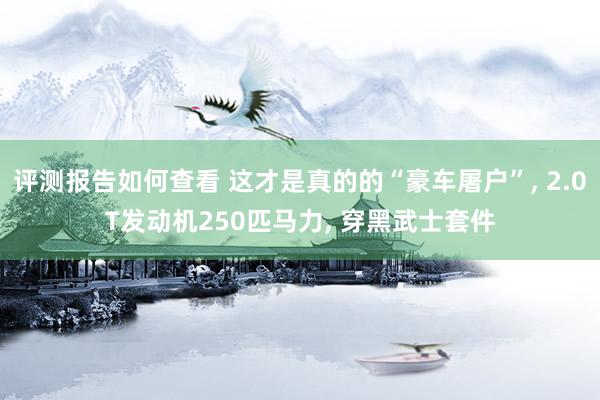 评测报告如何查看 这才是真的的“豪车屠户”, 2.0T发动机250匹马力, 穿黑武士套件