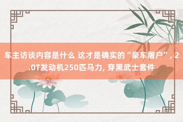 车主访谈内容是什么 这才是确实的“豪车屠户”, 2.0T发动机250匹马力, 穿黑武士套件