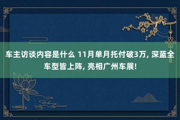 车主访谈内容是什么 11月单月托付破3万, 深蓝全车型皆上阵, 亮相广州车展!