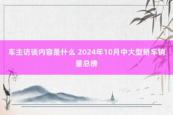 车主访谈内容是什么 2024年10月中大型轿车销量总榜