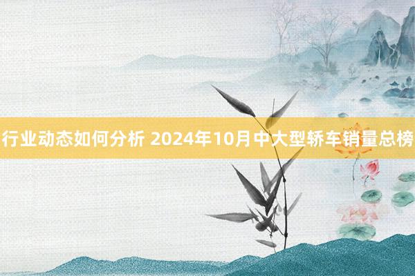 行业动态如何分析 2024年10月中大型轿车销量总榜