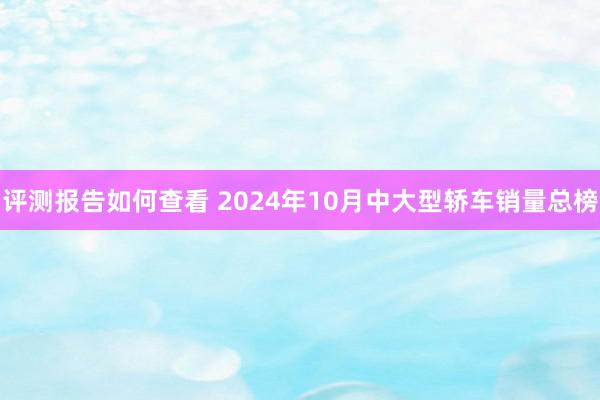 评测报告如何查看 2024年10月中大型轿车销量总榜