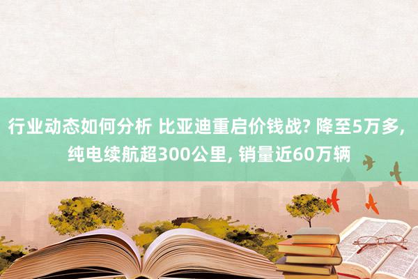 行业动态如何分析 比亚迪重启价钱战? 降至5万多, 纯电续航超300公里, 销量近60万辆